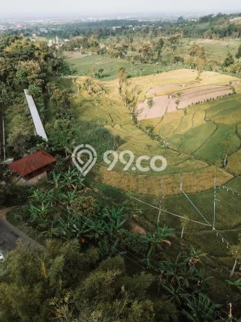 Untuk Dijual Tanah di Prigen Pasuruan Luas 1000m2 SHM Untuk Dijual Tanah di Prigen Pasuruan Luas 1000m2 SHM