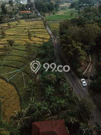 Untuk Dijual Tanah di Prigen Pasuruan Luas 1000m2 SHM Untuk Dijual Tanah di Prigen Pasuruan Luas 1000m2 SHM