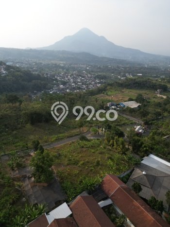 Tanah Kosong Dijual di Pasuruan dengan Area 1900m2 Tanah Kosong Dijual di Pasuruan dengan Area 1900m2
