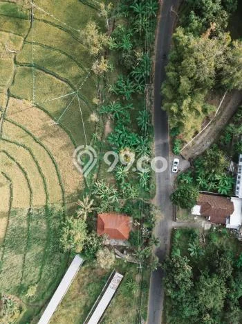 Untuk Dijual Tanah di Prigen Pasuruan Luas 1000m2 SHM Untuk Dijual Tanah di Prigen Pasuruan Luas 1000m2 SHM