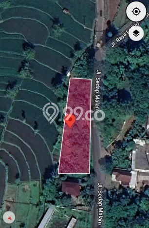 Untuk Dijual Tanah di Prigen Pasuruan Luas 1000m2 SHM Untuk Dijual Tanah di Prigen Pasuruan Luas 1000m2 SHM