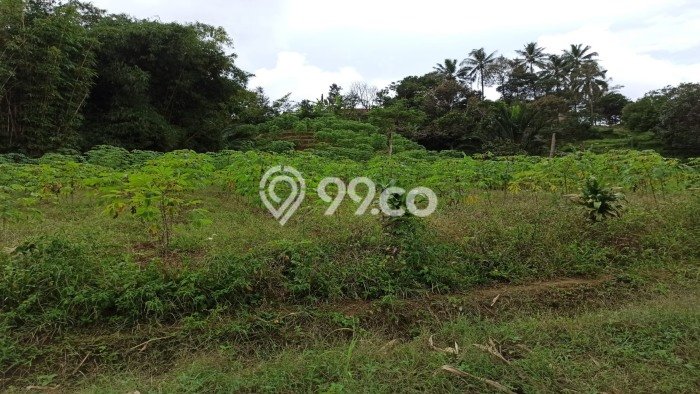 Kavling Tanah untuk Dijual di Kota Sukabumi, Sukabumi, Luas 9900m2 Kavling Tanah untuk Dijual di Kota Sukabumi, Sukabumi, Luas 9900m2
