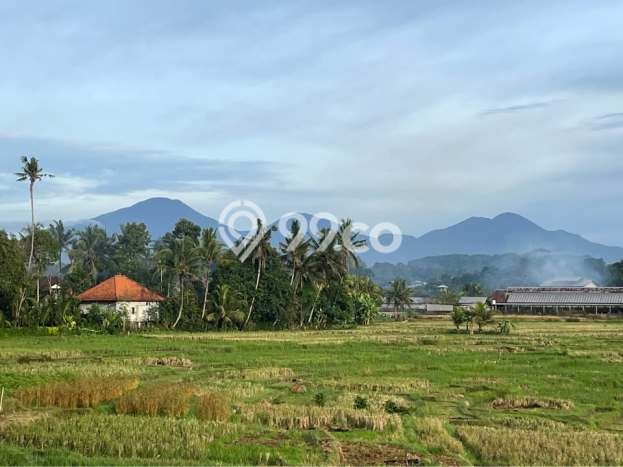 BISNIS POTENSIAL! Vila Kawasan Ubud, Luas 248m2m², ROI Menjanjikan BISNIS POTENSIAL! Vila Kawasan Ubud, Luas 248m2m², ROI Menjanjikan
