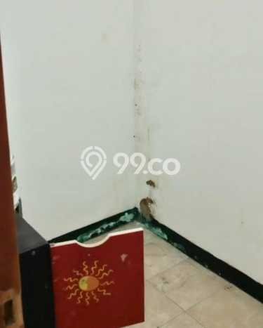 Apartemen Cozy Dijual di Jakarta Utara Spesifikasi 3 KT, 1 KM Apartemen Cozy Dijual di Jakarta Utara Spesifikasi 3 KT, 1 KM