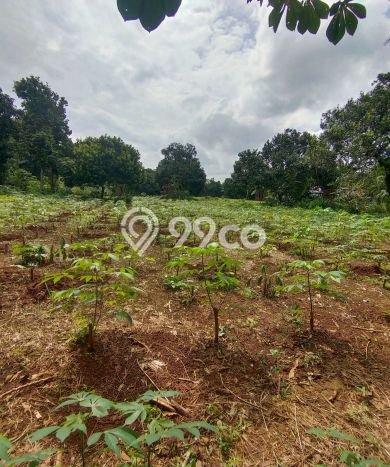 Lahan Kosong Dijual di Setu, Bekasi, Luas 3000m2 Area Strategis Lahan Kosong Dijual di Setu, Bekasi, Luas 3000m2 Area Strategis