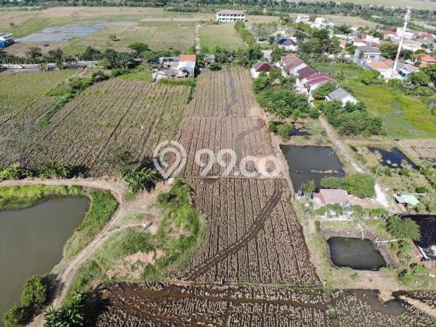 Tanah Lokasi Potensial di Rorotan, Luas 5550m2m², Akses ke Pusat Kota Tanah Lokasi Potensial di Rorotan, Luas 5550m2m², Akses ke Pusat Kota
