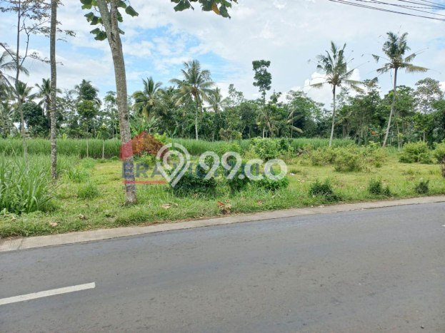 Tanah Dijual di Malang Seluas 1904m2 Strategis Tanah Dijual di Malang Seluas 1904m2 Strategis