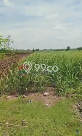Tanah Kavling Dijual di Kediri, Kediri dengan Luas Tanah 5429m2 Tanah Kavling Dijual di Kediri, Kediri dengan Luas Tanah 5429m2