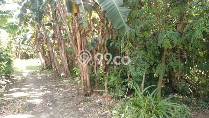 Tanah di Ngaglik, Sleman Luas 8564m2 Dijual Segera Tanah di Ngaglik, Sleman Luas 8564m2 Dijual Segera