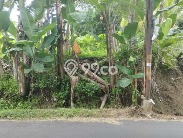 Tanah Strategis Dijual di Girimulyo Kulon Progo 980m2 Tanah Strategis Dijual di Girimulyo Kulon Progo 980m2