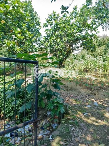 Tanah Kavling Dijual di Bogor dengan Spesifikasi 877m2 Tanah Kavling Dijual di Bogor dengan Spesifikasi 877m2