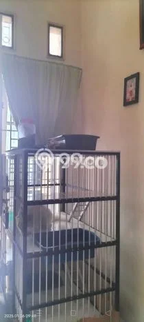 Rumah Minimalis Terbaik Siap Huni di Medan Selayang LT 84m2 Rumah Minimalis Terbaik Siap Huni di Medan Selayang LT 84m2