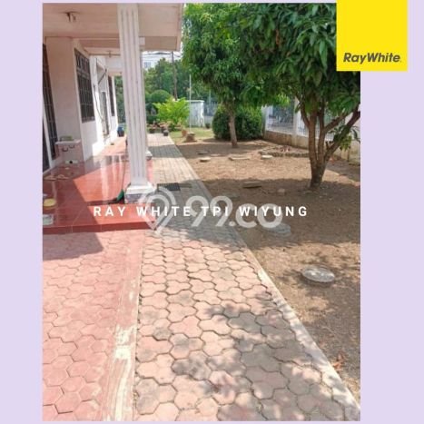 Ready to Use! Luxury House LT 646m2 Desain Modern di Sukomanunggal Ready to Use! Luxury House LT 646m2 Desain Modern di Sukomanunggal