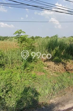 Tanah untuk Dijual Lokasi Sidoarjo, Sidoarjo Luas 5100m2 SHM Tanah untuk Dijual Lokasi Sidoarjo, Sidoarjo Luas 5100m2 SHM
