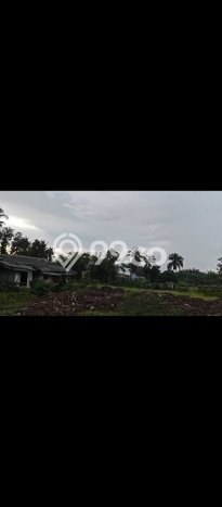 Untuk Dijual Tanah di Cengkareng Jakarta Barat Luas 1649m2 SHM Untuk Dijual Tanah di Cengkareng Jakarta Barat Luas 1649m2 SHM