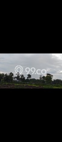 Untuk Dijual Tanah di Cengkareng Jakarta Barat Luas 1649m2 SHM Untuk Dijual Tanah di Cengkareng Jakarta Barat Luas 1649m2 SHM