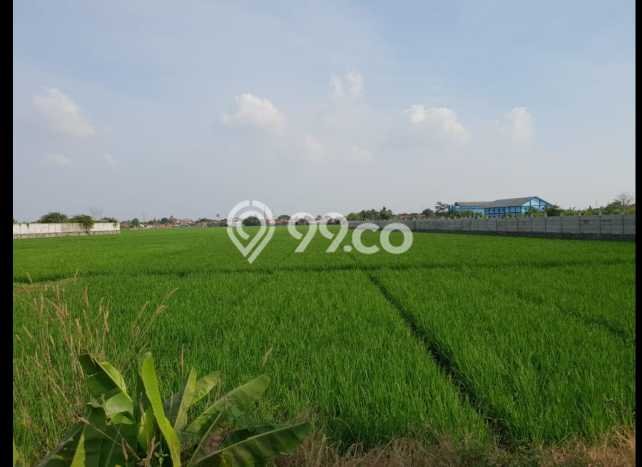 Tanah Kavling untuk Dijual di Karawang Barat Karawang 57508m2 Tanah Kavling untuk Dijual di Karawang Barat Karawang 57508m2