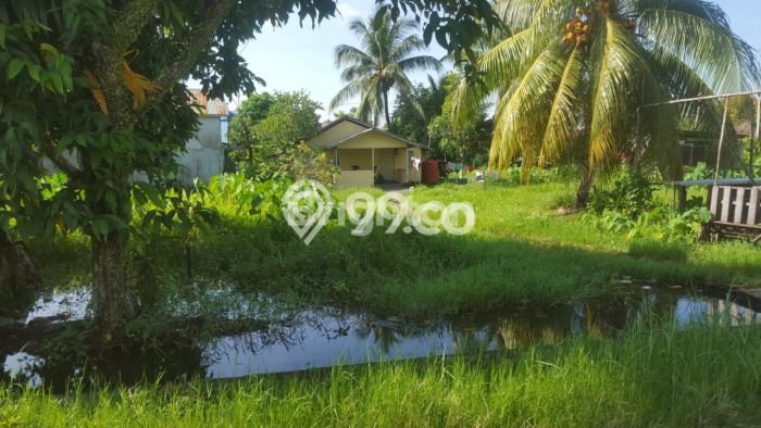 Kavling Tanah Dijual di Pontianak Barat Pontianak Spesifikasi 299m2 Kavling Tanah Dijual di Pontianak Barat Pontianak Spesifikasi 299m2