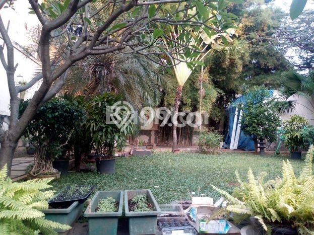 Jual Rumah Mewah Elegan Dengan View Eksklusif di Setiabudi, Jakarta Selatan Jual Rumah Mewah Elegan Dengan View Eksklusif di Setiabudi, Jakarta Selatan
