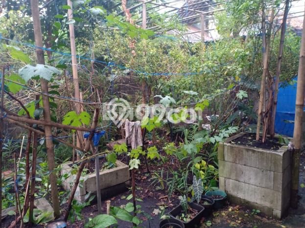 Rumah Modern Minimalis 3 Kamar Siap Huni di Tapos Rumah Modern Minimalis 3 Kamar Siap Huni di Tapos
