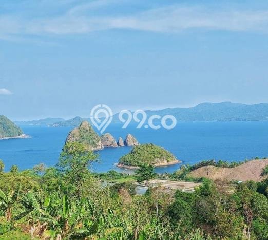 Tanah Kavling Dijual di Gedong Tataan, Pesawaran dengan Luas Tanah 250000m2 Tanah Kavling Dijual di Gedong Tataan, Pesawaran dengan Luas Tanah 250000m2