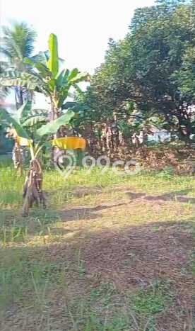 Dijual Tanah Lokasi Cikeas, Bogor Seluas 4232m2 Dijual Tanah Lokasi Cikeas, Bogor Seluas 4232m2