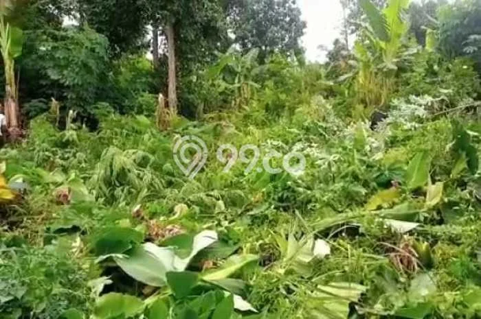 Tanah Dijual di Tangerang Selatan Seluas 21000m2 Strategis Tanah Dijual di Tangerang Selatan Seluas 21000m2 Strategis