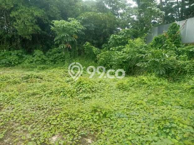 Tanah Dijual Lokasi Strategis di Bogor dengan Luas 20000m2 Tanah Dijual Lokasi Strategis di Bogor dengan Luas 20000m2