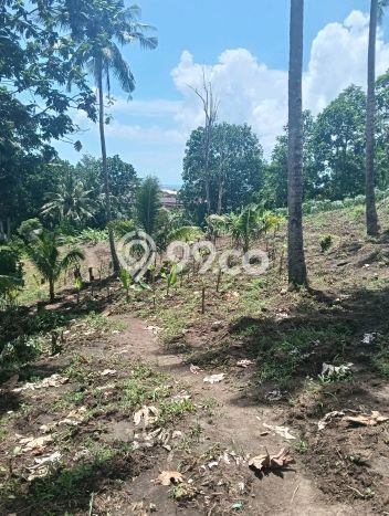 Lahan Investasi Lokasi Tuminting Manado SHM Lahan Investasi Lokasi Tuminting Manado SHM