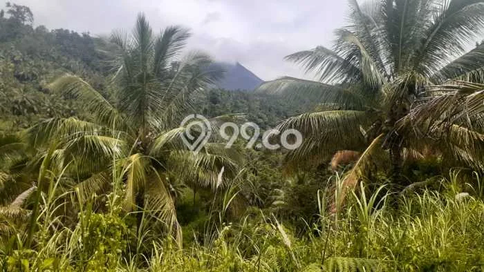 Lahan Kosong Dijual di Minahasa Tenggara dengan Area 800000m2 Lahan Kosong Dijual di Minahasa Tenggara dengan Area 800000m2