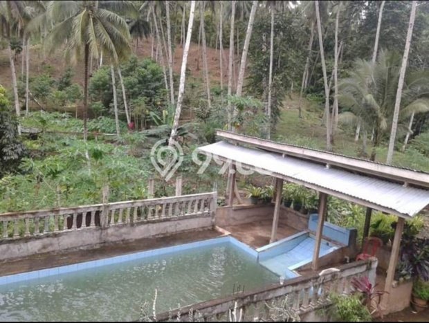 Tanah Komersial Dijual di Likupang Timur Minahasa Utara 700000m2 Tanah Komersial Dijual di Likupang Timur Minahasa Utara 700000m2