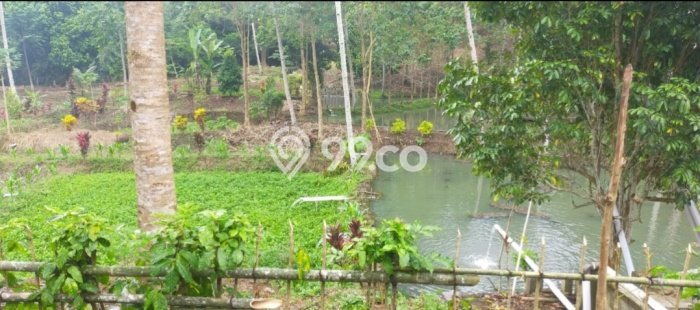 Tanah Komersial Dijual di Likupang Timur Minahasa Utara 700000m2 Tanah Komersial Dijual di Likupang Timur Minahasa Utara 700000m2