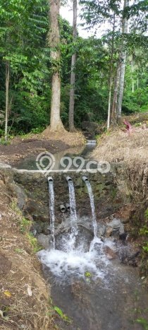 Tanah Komersial Dijual di Likupang Timur Minahasa Utara 700000m2 Tanah Komersial Dijual di Likupang Timur Minahasa Utara 700000m2