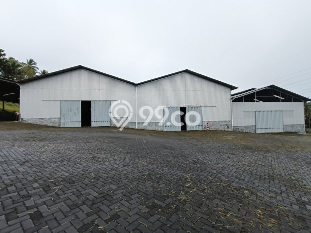 Tanah untuk Dijual di Kauditan Minahasa Utara Luas 16000m2 Tanah untuk Dijual di Kauditan Minahasa Utara Luas 16000m2
