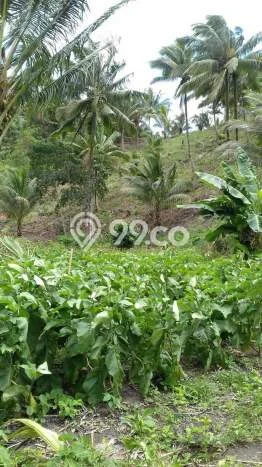 Lahan Kosong Dijual di Minahasa Tenggara dengan Area 800000m2 Lahan Kosong Dijual di Minahasa Tenggara dengan Area 800000m2