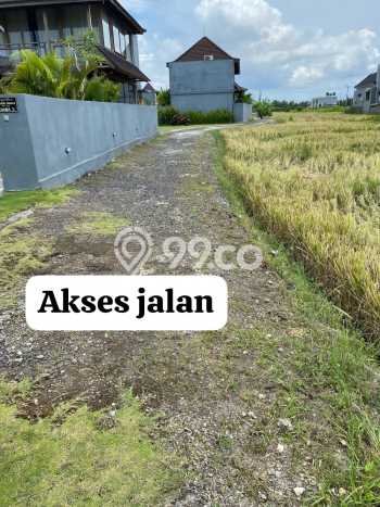 Kavling Tanah untuk Disewa di Pererenan Lahan Luas 2000m2 Kavling Tanah untuk Disewa di Pererenan Lahan Luas 2000m2