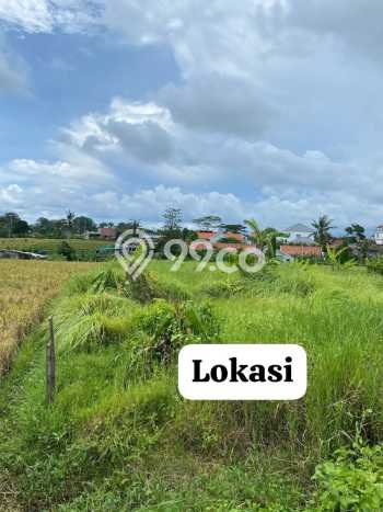 Kavling Tanah untuk Disewa di Pererenan Lahan Luas 2000m2 Kavling Tanah untuk Disewa di Pererenan Lahan Luas 2000m2