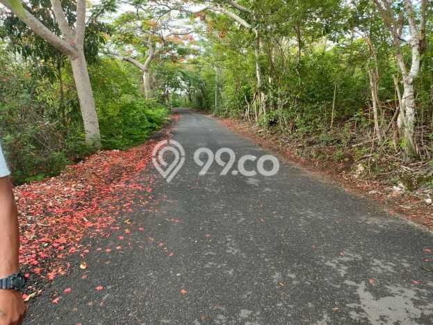 Tanah Disewakan Lokasi Badung Seluas 5000m2 Strategis dan Aman Tanah Disewakan Lokasi Badung Seluas 5000m2 Strategis dan Aman