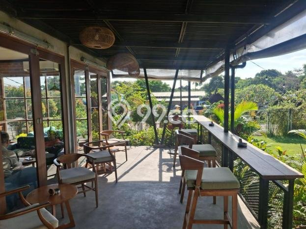 SEWA TERBAIK! Komersial Kawasan Canggu, Luas 500m², Area Strategis SEWA TERBAIK! Komersial Kawasan Canggu, Luas 500m², Area Strategis