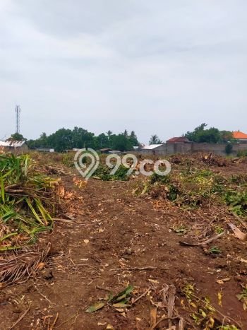 Tanah Dijual di Buleleng Seluas 100m2 Strategis Tanah Dijual di Buleleng Seluas 100m2 Strategis