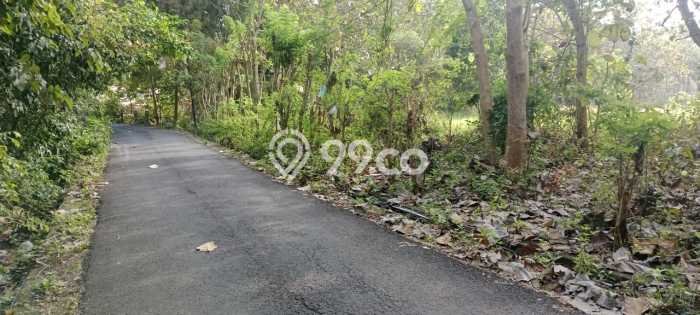 Lahan Dijual Lokasi Strategis di Badung dengan Luas 2100m2 Lahan Dijual Lokasi Strategis di Badung dengan Luas 2100m2