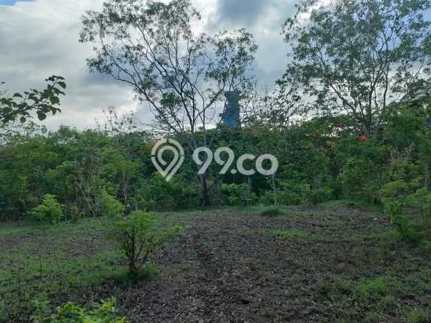 Tanah Disewakan Lokasi Badung Seluas 5000m2 Strategis dan Aman Tanah Disewakan Lokasi Badung Seluas 5000m2 Strategis dan Aman
