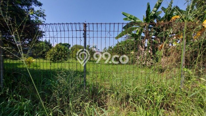 Tanah Kavling Dijual di Bogor dengan Spesifikasi 1000m2 Tanah Kavling Dijual di Bogor dengan Spesifikasi 1000m2