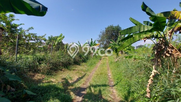 Tanah Kavling Dijual di Bogor dengan Spesifikasi 1000m2 Tanah Kavling Dijual di Bogor dengan Spesifikasi 1000m2
