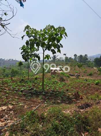 Tanah Kawasan Soreang, Luas 35000m², Sertifikat Hak Milik, Akses Soreang, Bandung, Bandung Tanah Kawasan Soreang, Luas 35000m², Sertifikat Hak Milik, Akses Soreang, Bandung, Bandung