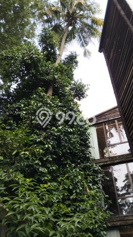 Rumah Luxury Modern Siap Huni di patra kuningan Jakarta Selatan Rumah Luxury Modern Siap Huni di patra kuningan Jakarta Selatan