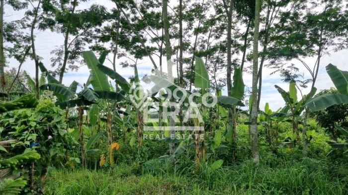 Jual Tanah di Sukun, Luas 234m2m², Lokasi Strategis Jual Tanah di Sukun, Luas 234m2m², Lokasi Strategis