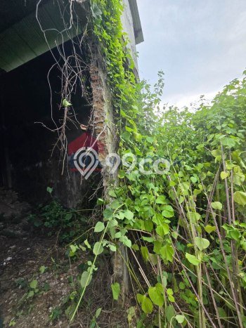 AREA KOMERSIAL! Gudang For Rent di Kepanjen, Luas 1740m2m², Area Utama, Siap Usaha AREA KOMERSIAL! Gudang For Rent di Kepanjen, Luas 1740m2m², Area Utama, Siap Usaha