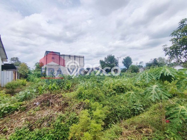 Kavling Tanah Dijual di Kedungkandang, Malang, Luas 438m2 Area Strategis Kavling Tanah Dijual di Kedungkandang, Malang, Luas 438m2 Area Strategis