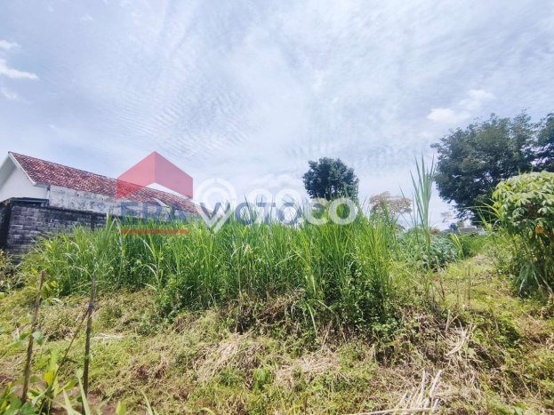 Tanah Dijual Lokasi Kedungkandang, Malang Luas 366m2 Legalitas Aman Tanah Dijual Lokasi Kedungkandang, Malang Luas 366m2 Legalitas Aman